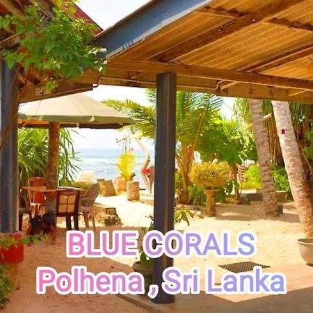 Blue Corals Beach Bungalow マータラ エクステリア 写真