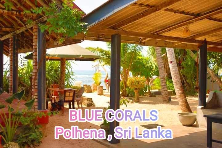 Blue Corals Beach Bungalow マータラ エクステリア 写真