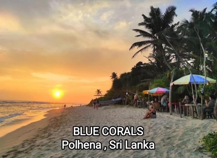 Blue Corals Beach Bungalow マータラ エクステリア 写真