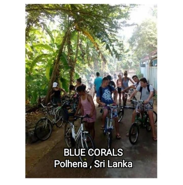Blue Corals Beach Bungalow マータラ エクステリア 写真