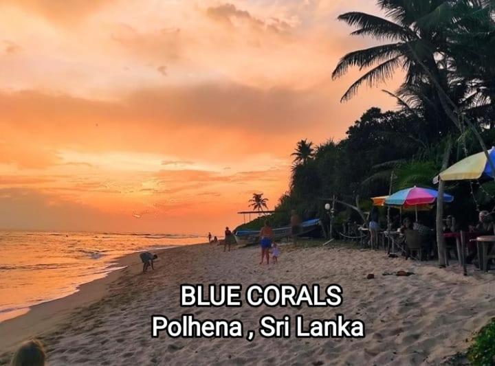 Blue Corals Beach Bungalow マータラ エクステリア 写真