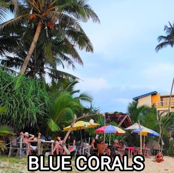 Blue Corals Beach Bungalow マータラ エクステリア 写真