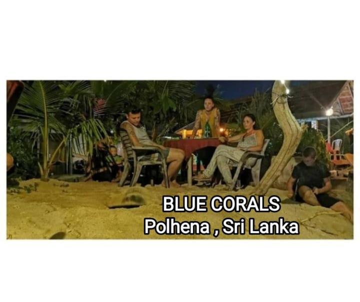 Blue Corals Beach Bungalow マータラ エクステリア 写真