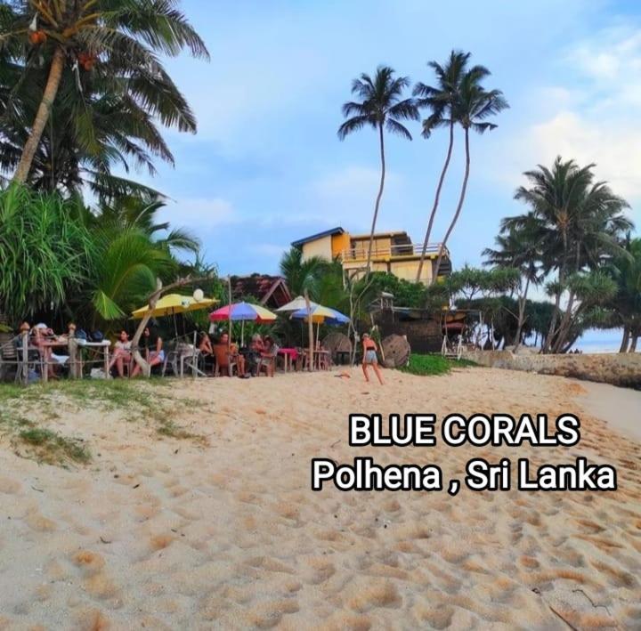 Blue Corals Beach Bungalow マータラ エクステリア 写真