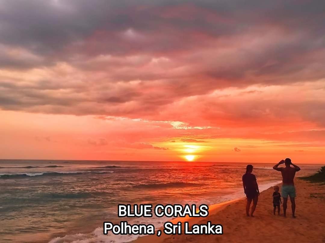 Blue Corals Beach Bungalow マータラ エクステリア 写真