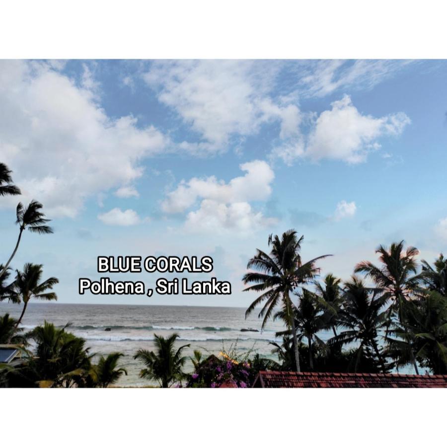 Blue Corals Beach Bungalow マータラ エクステリア 写真