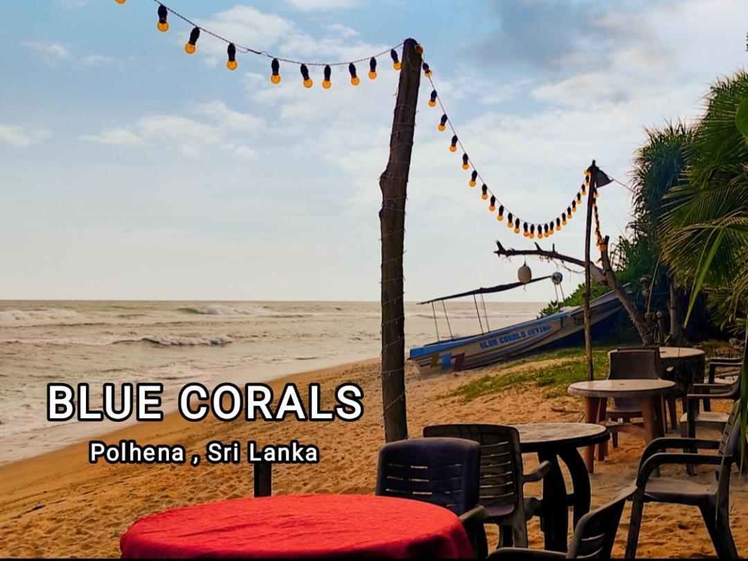 Blue Corals Beach Bungalow マータラ エクステリア 写真