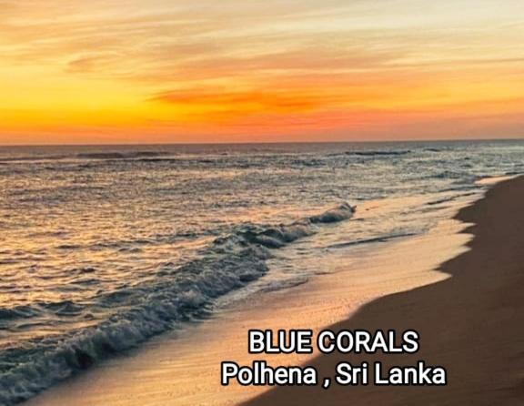 Blue Corals Beach Bungalow マータラ エクステリア 写真