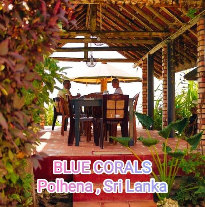 Blue Corals Beach Bungalow マータラ エクステリア 写真