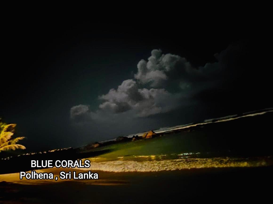 Blue Corals Beach Bungalow マータラ エクステリア 写真