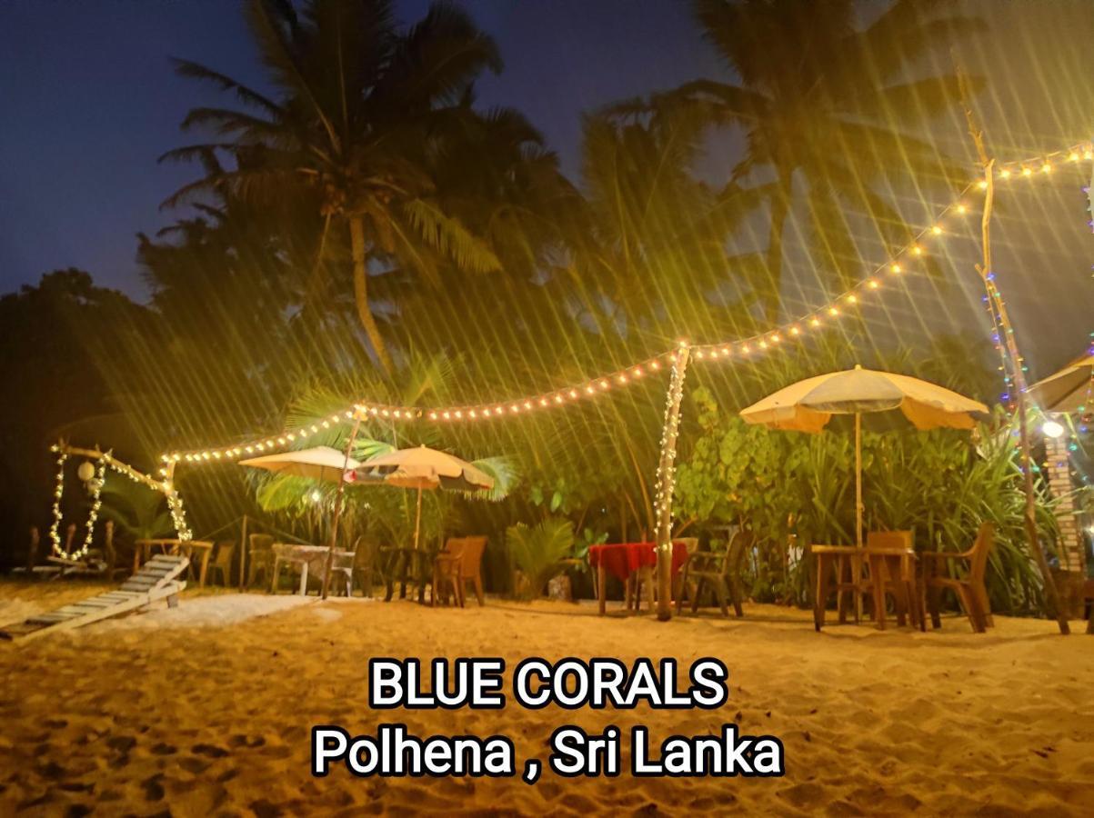 Blue Corals Beach Bungalow マータラ エクステリア 写真
