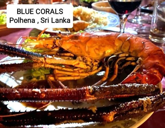 Blue Corals Beach Bungalow マータラ エクステリア 写真