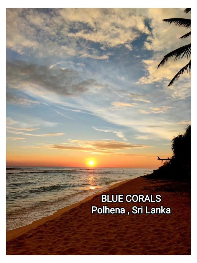 Blue Corals Beach Bungalow マータラ エクステリア 写真