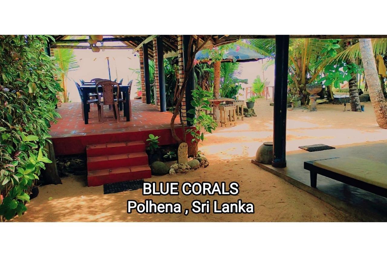 Blue Corals Beach Bungalow マータラ エクステリア 写真