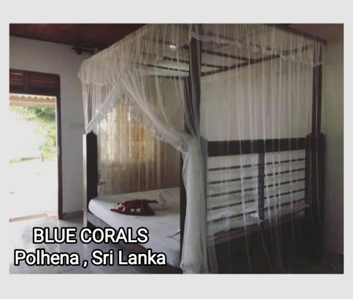 Blue Corals Beach Bungalow マータラ エクステリア 写真