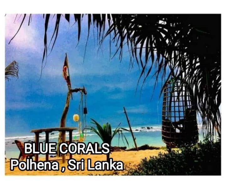 Blue Corals Beach Bungalow マータラ エクステリア 写真