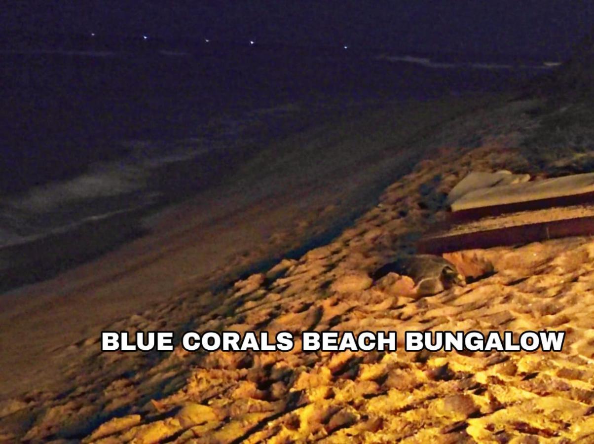 Blue Corals Beach Bungalow マータラ エクステリア 写真