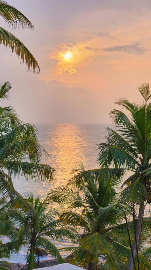 Blue Corals Beach Bungalow マータラ エクステリア 写真