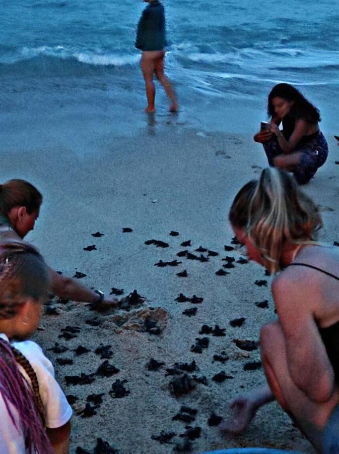Blue Corals Beach Bungalow マータラ エクステリア 写真