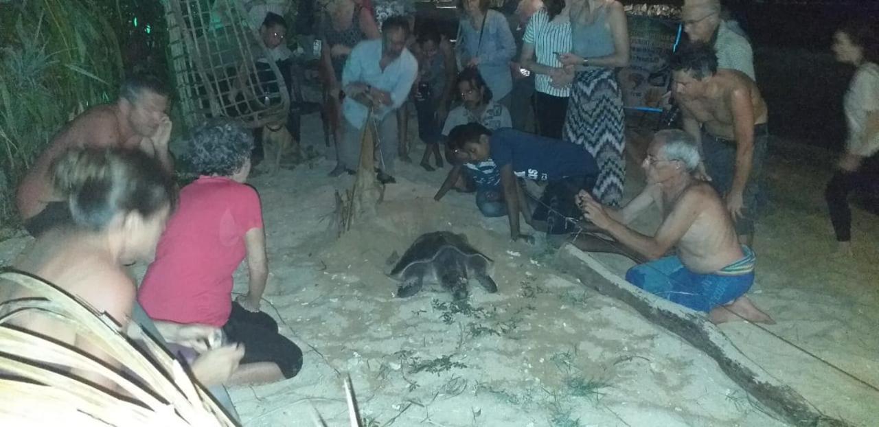 Blue Corals Beach Bungalow マータラ エクステリア 写真